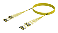 144 Fibre Single Mode MPO(12F) Trunk