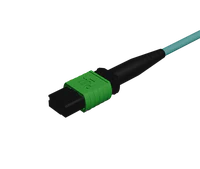 Konektor Kontak Fisik Sudut MPO pada Multimode OM4