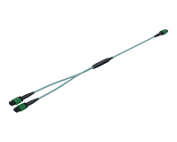 Kabel Splitter MPO 1:2 (Setara dengan NVIDIA MFP7E20)