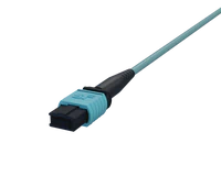 12 Fibre OM4 Multi Mode MPO Connectors, Aqua