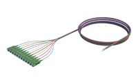 900um Buffered Single Mode Optical Fibre Pigtail, SC/APC, Coloured 12 Pack
