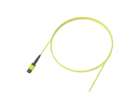 Flexible Ribbon Optical Pigtail, 12 Fibre, MPO/APC