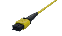 Warna Konektor MPO
