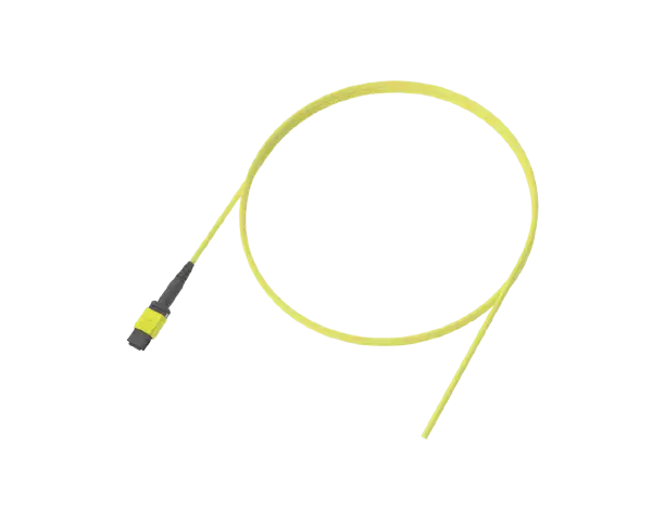 MPO ke Bare Fiber Pigtail, 12 Serat, Jaket 3mm