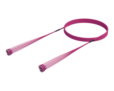 SC/UPC-SC/UPC Pre-Terminated Fibre Cable Assembly, OM4, Erika Violet, 12 Fibres